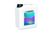 Loggia FISSAMUR concentrated – Концентрированный изолирующий виниловый грунт