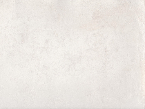 ALURE TOMAN Silver / Алюр Томан Серебро (ВД-АК-214) Флоки фото 6