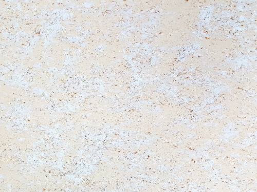 ALURE TOMAN Classic / Алюр Томан Классик (ВД-АК-214) Флоки фото 24